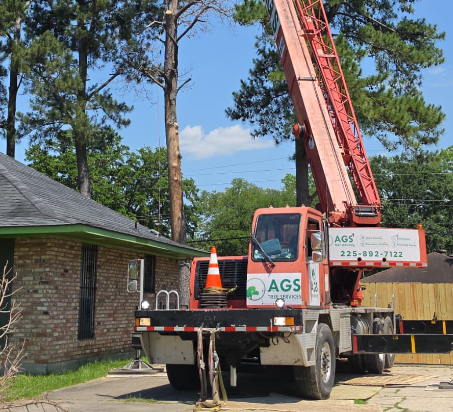 AGS Tree Services team at work