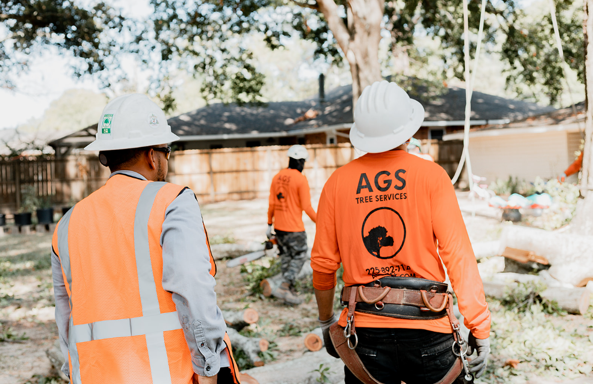 AGS Tree Services crew on the job