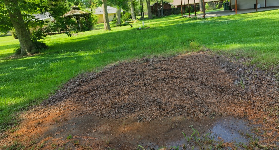 Leveled yard space after stump grinding, ready for landscaping