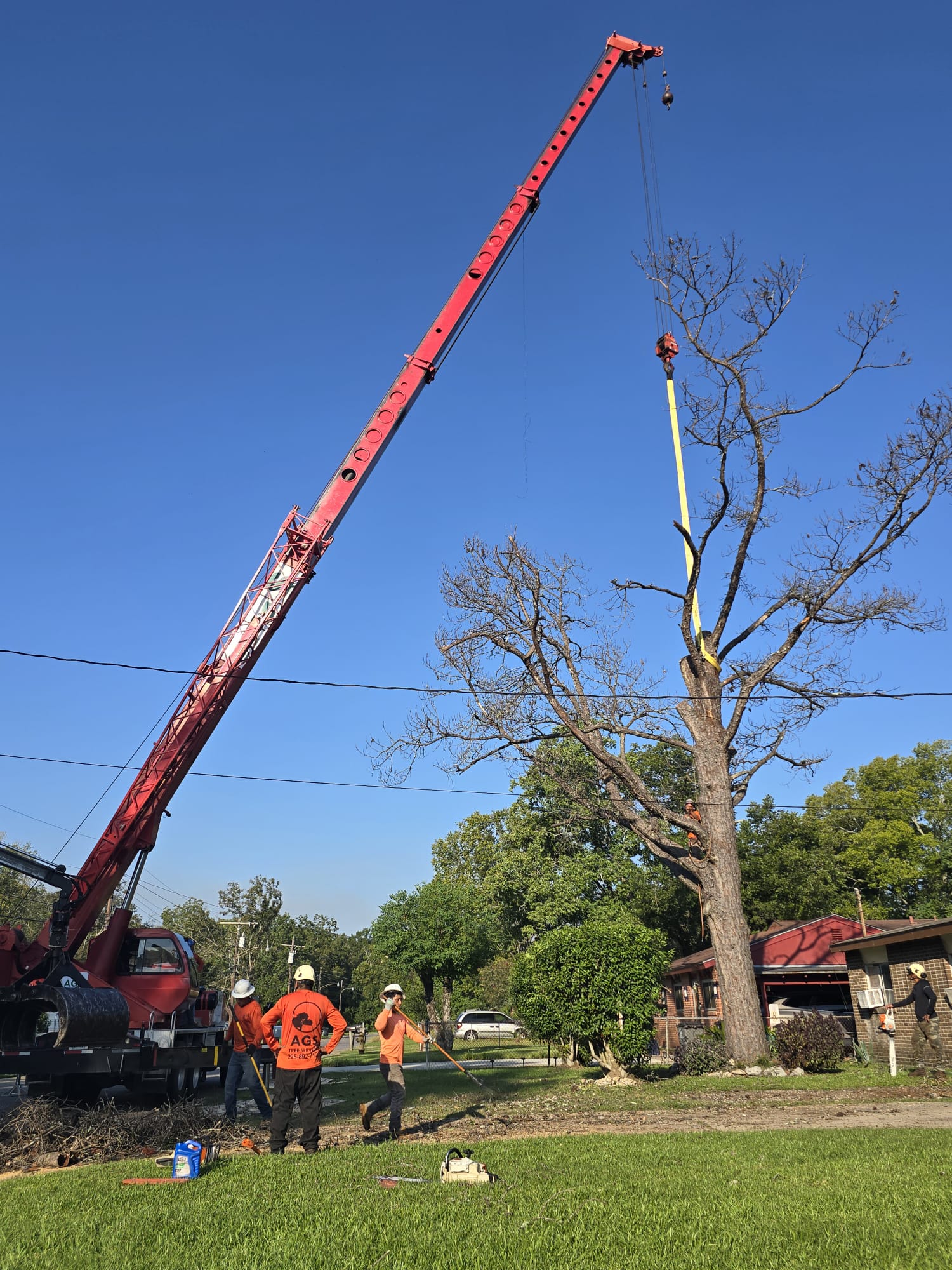 AGS Tree Services team at work