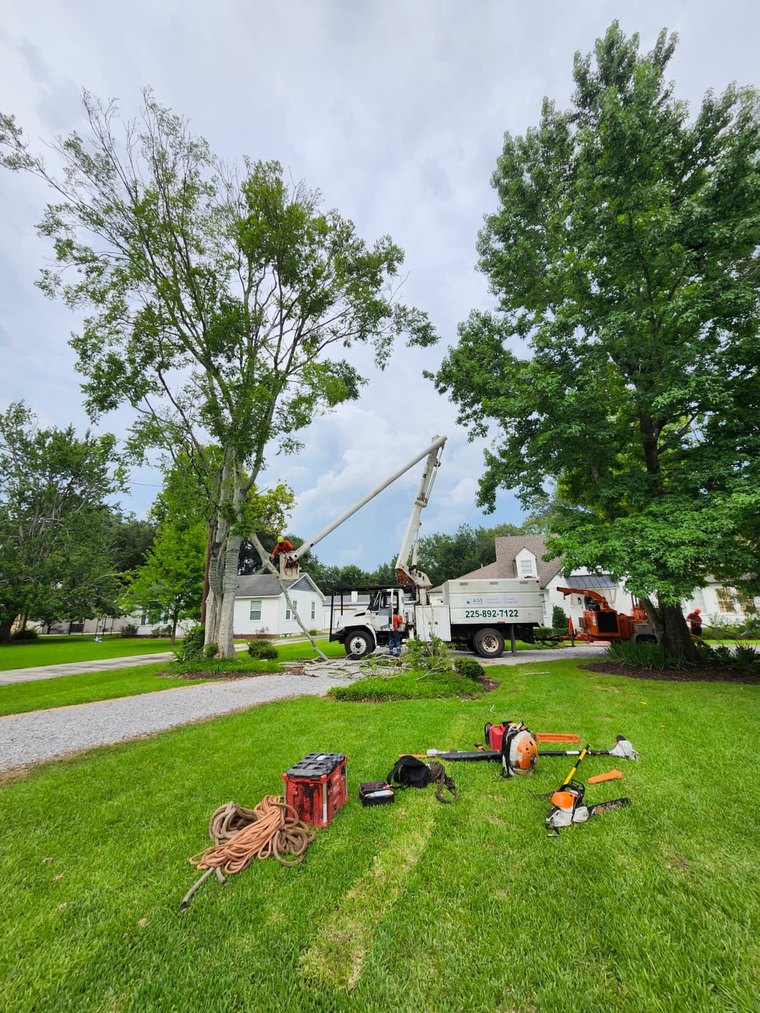 AGS Tree Services crew with bucket truck and equipment on a residential job